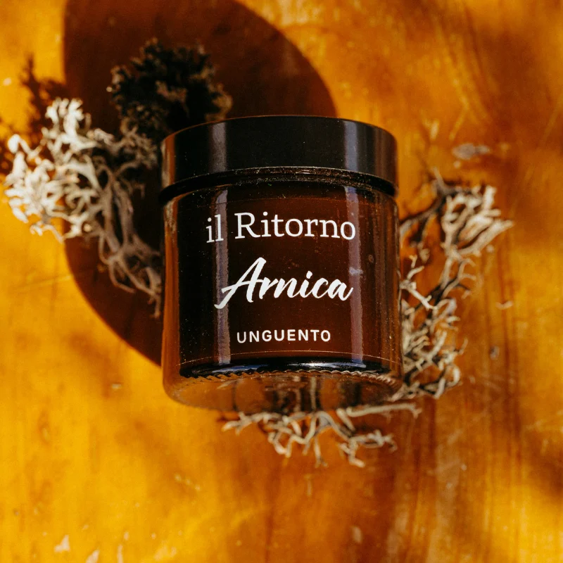 Vasetto originale Arnica Unguento Il Ritorno, fotografato su legno con erbe
